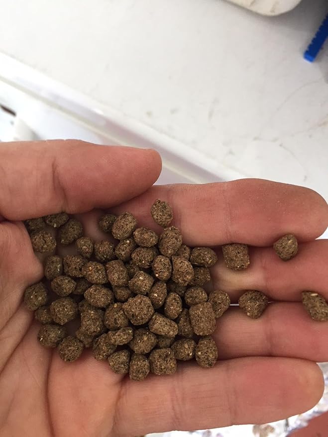 Floating Pond Fish Food (10 pounds)