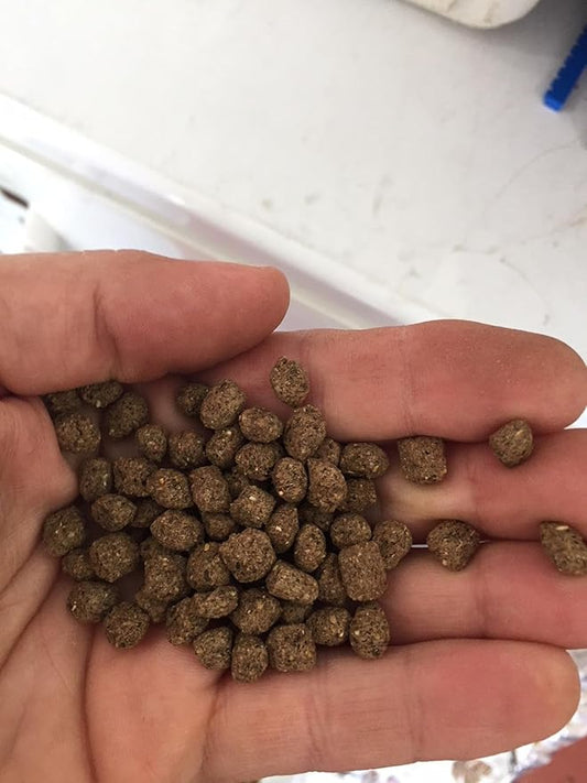Floating Pond Fish Food (10 pounds)