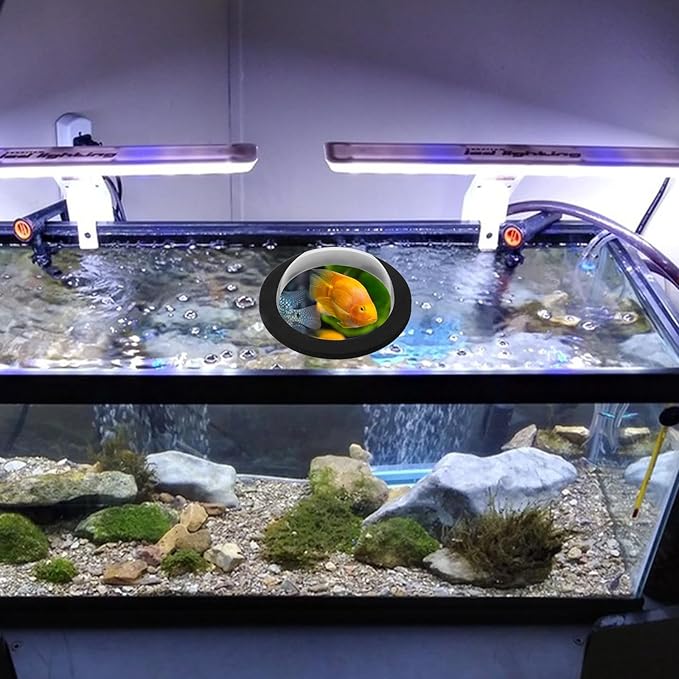 KALLORY Floating Fish Dome Pond Cover Acrylic Small Floating Fish Dome Lid 15cm Diameter Outdoor Garden Aquarium Accessory