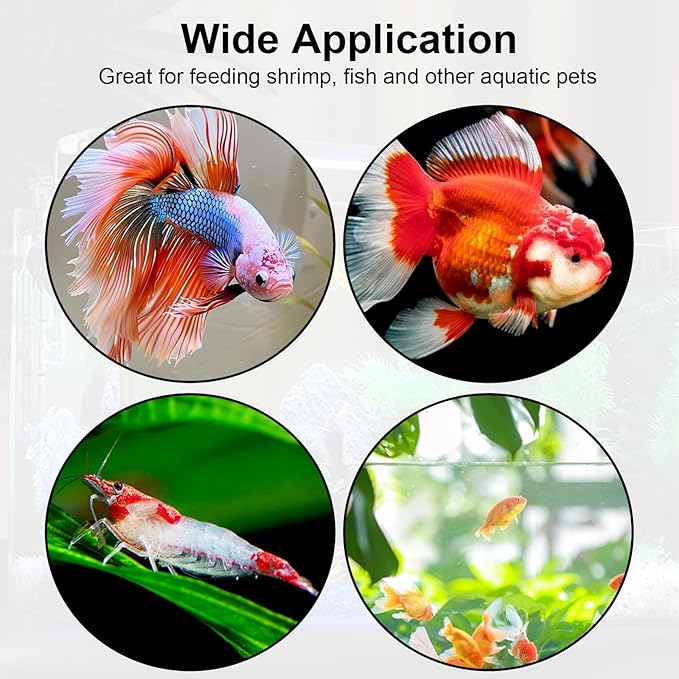 2PCS Shrimp Feeding Dish, Shrimp Feeder Dish with Suction Cups, Clear Fish Tank Feeder Bowl, Acrylic Fish Tank Feeding Bowl for Freshwater and Saltwater Tanks (60mm)