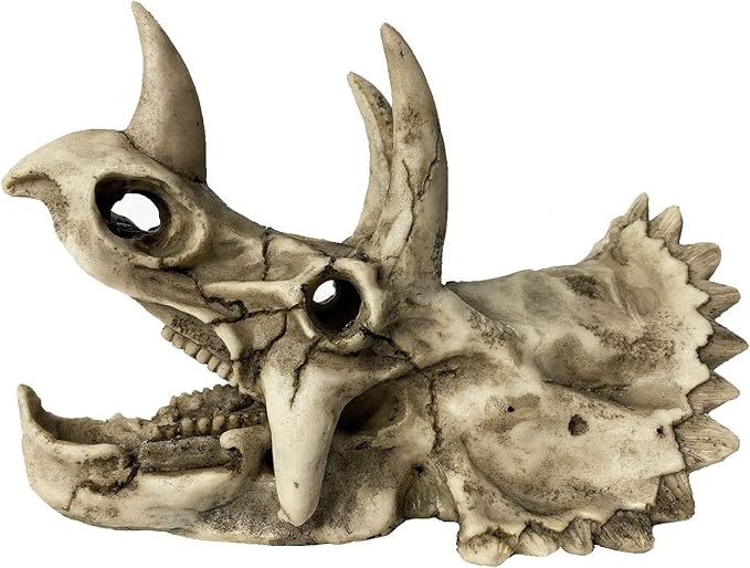 kathson Large Resin Dinosaur Triceratops Skull Décor Aquarium Decoration Reptiles Hideout Fish Tank Ornament Home Landscape Decor