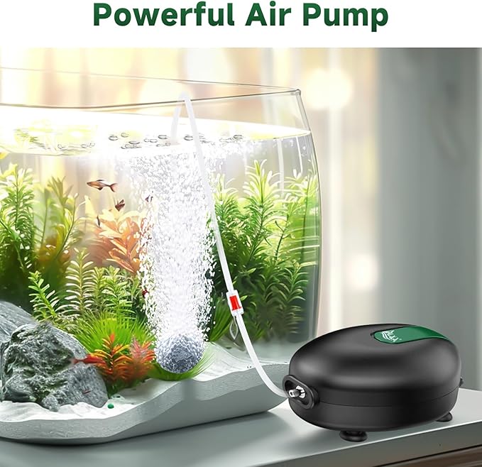 AQQA Aquarium Sponge Filter & Aquarium Air Pump