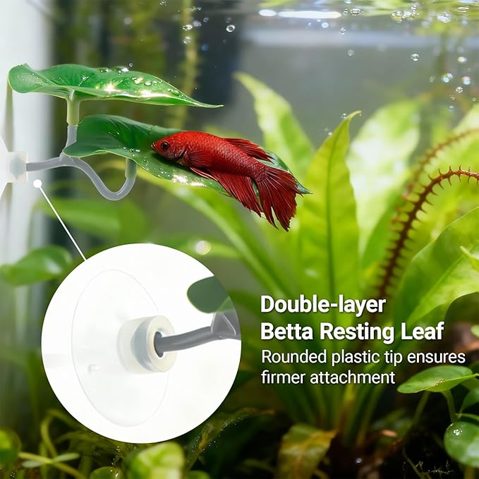Betta Fish Toy Set,Betta Training Floating Mirror, Training/Feeding Ring, Spoon, and Resting Leaf. Promotes Exercise. Betta Toys, Resting & Feeding Kit
