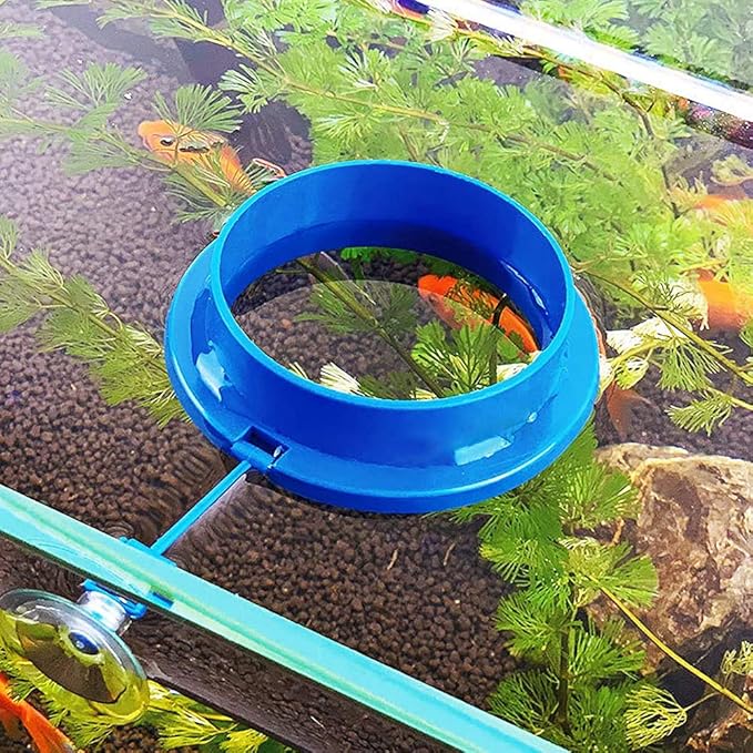 Fish Feeding Ring, Floating Food Feeder, Thicken Round Desgin, for Flakes, Floating Fish Foods, Reduces Waste and Maintains Water Quality, for Guppy, Betta, Goldfish Etc