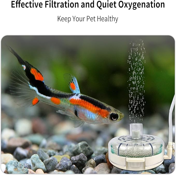 Small Aquarium Sponge Filter, Small Fish Tank Filter & Mini Submersible Fish Filter Built-in Air Bubble Stone and Bio Sponge for Fish Tanks up to 20-40 Gallon (Air Pump Not Included)