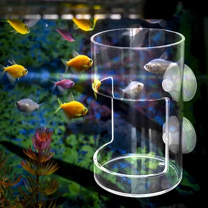 Rubbish Fish Feeder