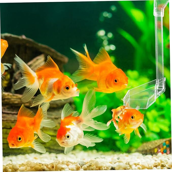 DOITOOL Acrylic Aquarium Fish Feeder Tube with Shrimp Feeding Dish 21cm for Fish Tank Automatic Feeding Aquarium Accessories