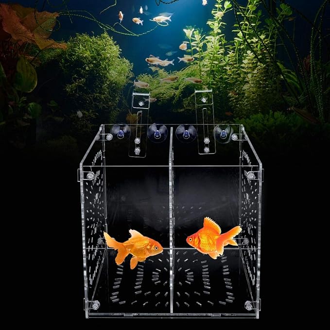 Aquarium Breeder Box for Fish Tank, Fish Breeding Box Tank Hatchery Incubator Aquarium Isolation Box for Seedlings Incubation(L)