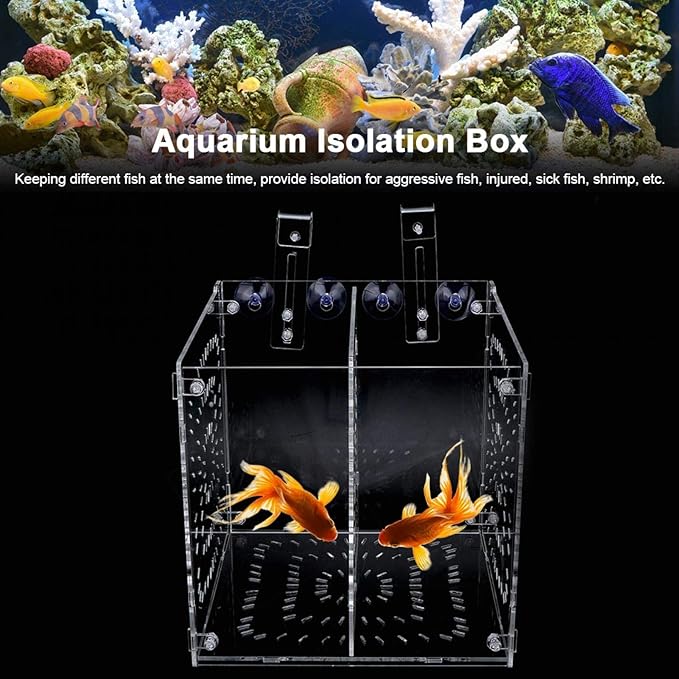 Aquarium Breeder Box for Fish Tank, Fish Breeding Box Tank Hatchery Incubator Aquarium Isolation Box for Seedlings Incubation(L)