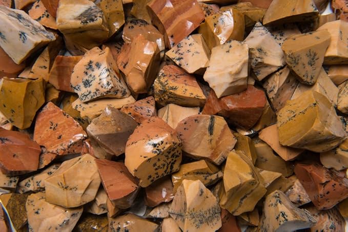 Fantasia Materials: 5 lbs Dendrite Tan Jasper Rough Stones from India