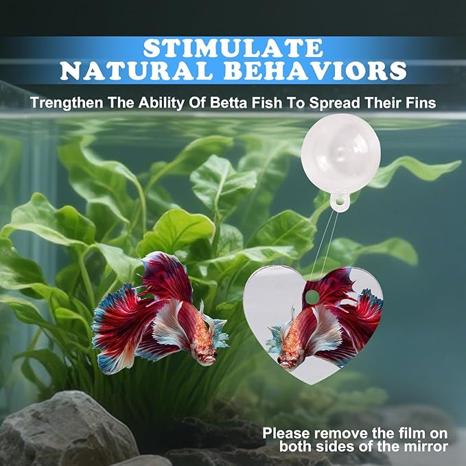 Betta Fish Toys, 2 PCS Heart Fish Exercise Ring and Nitrifying Balls Set, Heart Betta Mirror Toy Set, Feeding Ring with Suction Cup, Fishing Tank Accessories for Gifts (Purple)