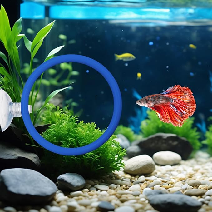 Betta Fish Tank Accessories, 2 Plastic Feeding Rings with Suction Cups and 2 Nitrifying Balls, Betta Enrichment Toys, Fish Tank Decor, Turtle Toys for Aquatic Turtles