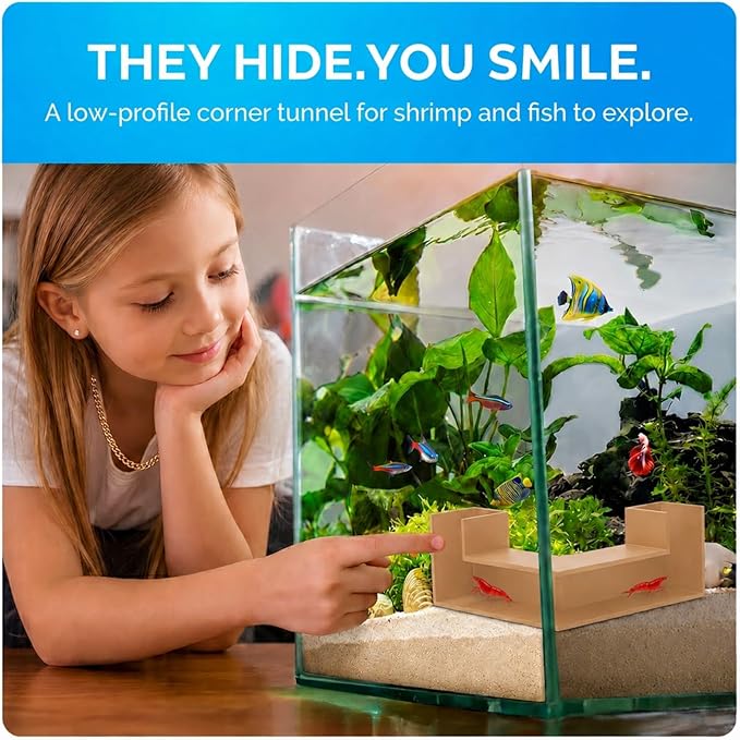 Aquarium Underground Tunnel 5", Clear Viewing Fish Tank Cave, Dual-Entrance Shrimp Hideout, Substrate Buried Decor for Betta, Loaches, Corydoras, Smooth ABS, Sand