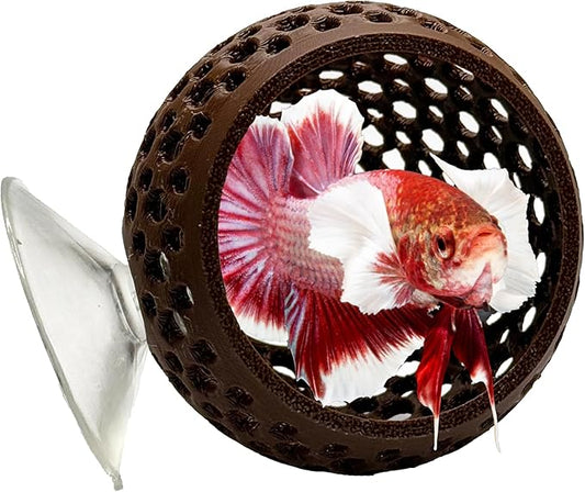 CTWPets Natural Betta Bulb Hide | Betta Rest Fish Tank Ornament | Aquarium Cave with Suction Cup for Small Fish Tank, Betta Habitat, Shrimp Hideout, Aquatic Decor (Dark Brown)