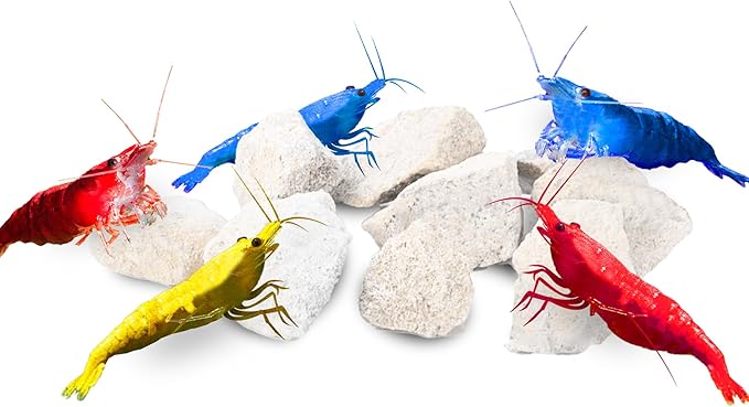 JOR Water Conditioner Calcium Rocks for Baby Shrimps, Isopods, and Crayfish, Enhances Pet Color, Provides Hideout, Breeding Spot, Beneficial for Shedding, Rustic Decor for Big and Nano Tanks, 3.5 oz.
