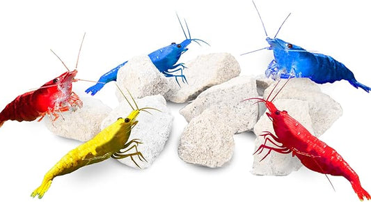 JOR Water Conditioner Calcium Rocks for Baby Shrimps, Isopods, and Crayfish, Enhances Pet Color, Provides Hideout, Breeding Spot, Beneficial for Shedding, Rustic Decor for Big and Nano Tanks, 3.5 oz.
