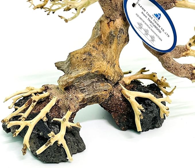Bonsai Driftwood Aquarium Tree (8in H x 6in L), Handcrafted Fish Tank Decoration | Easy to Install Driftwood Bonsai for Fish Tank | Decor Aquascape Wood (Bonsai Tree On Rocks)