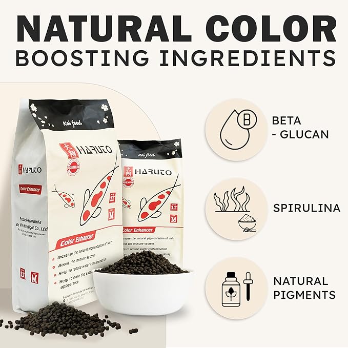 HARUTO Koi Food Color Enhancer 11lb – Floating Pellets with Spirulina & Astaxanthin, Appearance-Focused Formula, Daily Feeding for Koi Fish Ponds