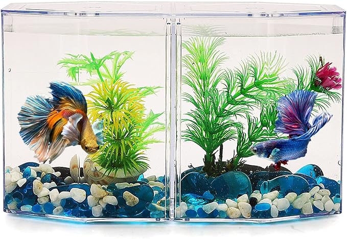 Fish Hatchery Isolation Box Hatchery Transparent Isolation Box,Aquarium Fish Breeder Box Multipurpose Transparent Octagonal Fish Isolation Box for Fish Breeding