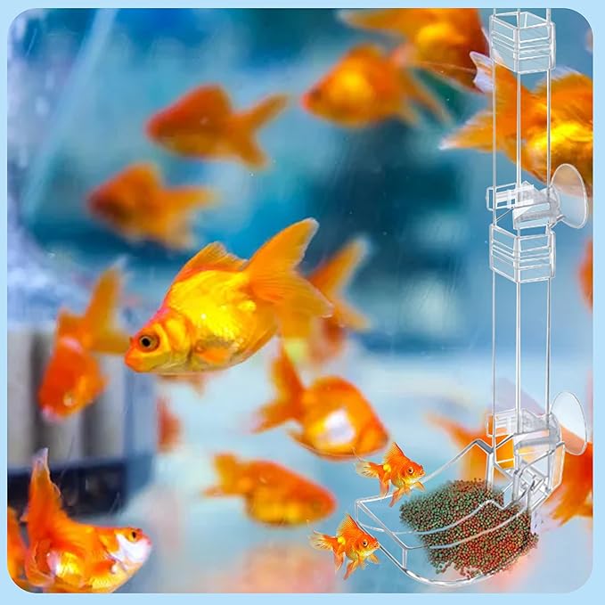 Aquarium Fish Shrimp Feeding Dish Set Clear Fish Feeder Tube and Dish with Cleaning Brush and Measuring Spoon for Feeding Shrimp and Preventing Food Scattering Feeding Supplies for Shrimp Large