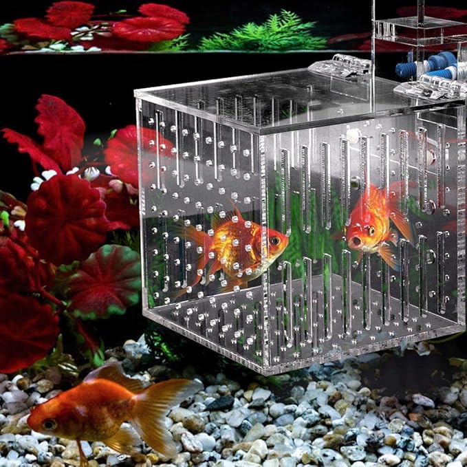 Strip Holes Design Adjustable Fishes Breeding Boxes, Aquarium Isolation Box, Fish Shrimp Clownfish for Preventing Fighting Fish Hatching Breeding