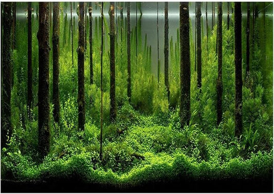 ciciglow Fish Poster, Aquarium Background Sticker PVC Adhesive Underwater Forest for Aquarium(76 * 46cm)