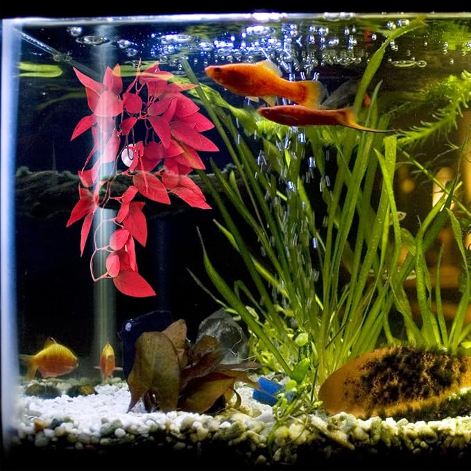 iplusmile Reptile Artificial Hanging Silk Plants with Suction Cup, Terrarium Tank Fake Plants Habitat Decorations for Indoor Bearded Dragon Hermit Crab Lizard Snake Geckos, Red