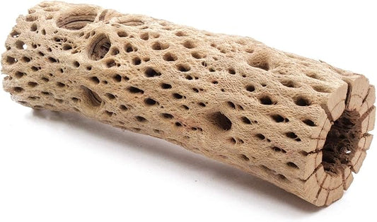3, 6, 9, 12 Inch All Natural Teddy Bear Cholla Wood Extra Hollow Untreated Organic Aquarium Driftwood Decoration Chew Toy Shrimp Crab Cichlid Nano Tank Birds 1 or 5 Pieces (1 Piece, 9 inch)