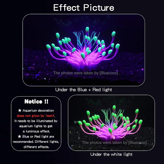 Soft Silica Gel Moves Naturally with Water Flow, Aquarium Decorations Glow in The Dark, Glowing Coral Ornaments for Fish Tank Decorations (Purple, Equinox)
