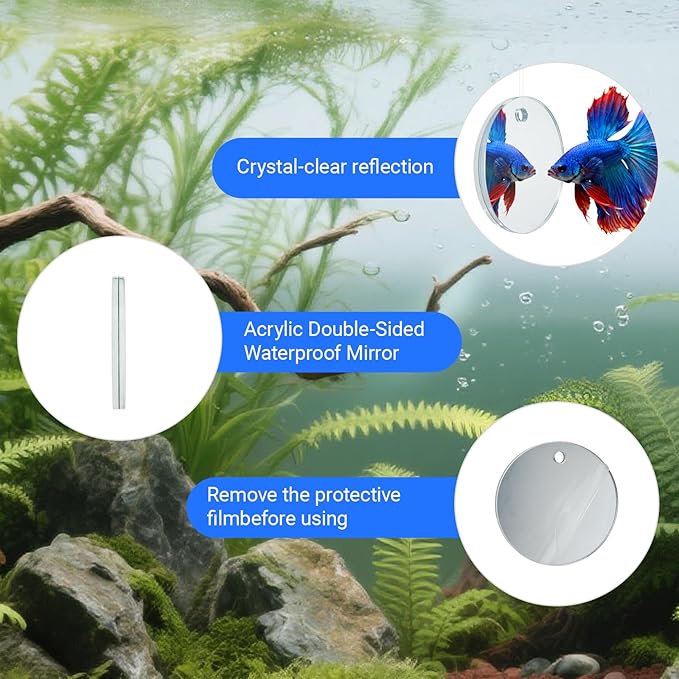 Betta Fish Toy Set,Betta Training Floating Mirror, Training/Feeding Ring, Spoon, and Resting Leaf. Promotes Exercise. Betta Toys, Resting & Feeding Kit