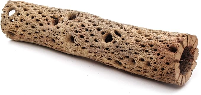 3, 6, 9, 12 Inch All Natural Teddy Bear Cholla Wood Extra Hollow Untreated Organic Aquarium Driftwood Decoration Chew Toy Shrimp Crab Cichlid Nano Tank Birds 1 or 5 Pieces (1 Piece, 12 inch)