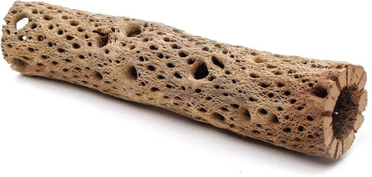 3, 6, 9, 12 Inch All Natural Teddy Bear Cholla Wood Extra Hollow Untreated Organic Aquarium Driftwood Decoration Chew Toy Shrimp Crab Cichlid Nano Tank Birds 1 or 5 Pieces (1 Piece, 12 inch)