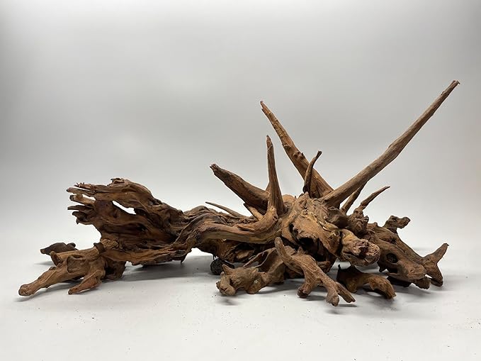 X-Small Driftwood (4.5-7 in) Assorted Natural Aquarium Decoration (5 Pieces)