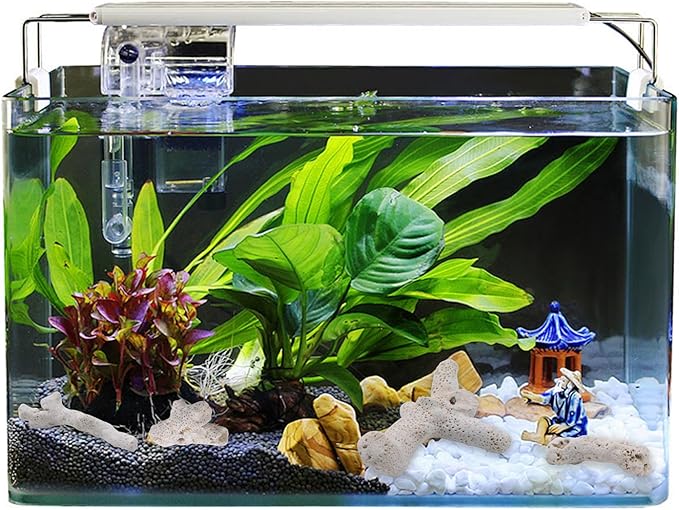 SnowTing 1.1lb/500g Fish Tank Coral Filter, Crushed Coral for Freshwater Aquarium Pond, Porous Reusable Aquarium Filter and Fish Tank Landscaping Decorations Accessories