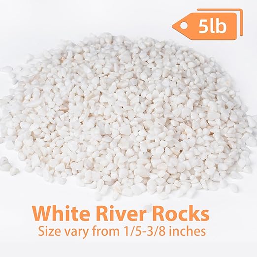Pulovin 5 lbs White Aquarium Gravel, 1/5 Inch White Rocks for Plants, Small Pebbles for Vases, Succulents, Bamboo, Natural Decorative Pebbles for Plants Drainage, Cactus, Crafts