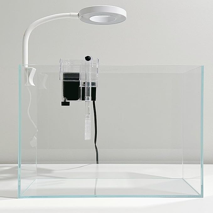 Nano Aquarium Kit 2.2 Gallon, Rimless Glass Betta Fish Tank with Filter & LED Light, 12" x 6" x 8" Small Desktop Fish Tank for Home Office (Transparent, Complete)