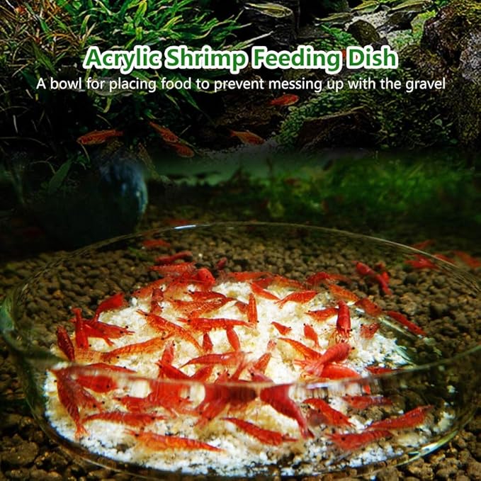 Acrylic Aquarium Shrimp Feeding Dish Bowl, Transparent Fish Food Container Feeder Tray Smaller Reptile Pets Feeder Dish