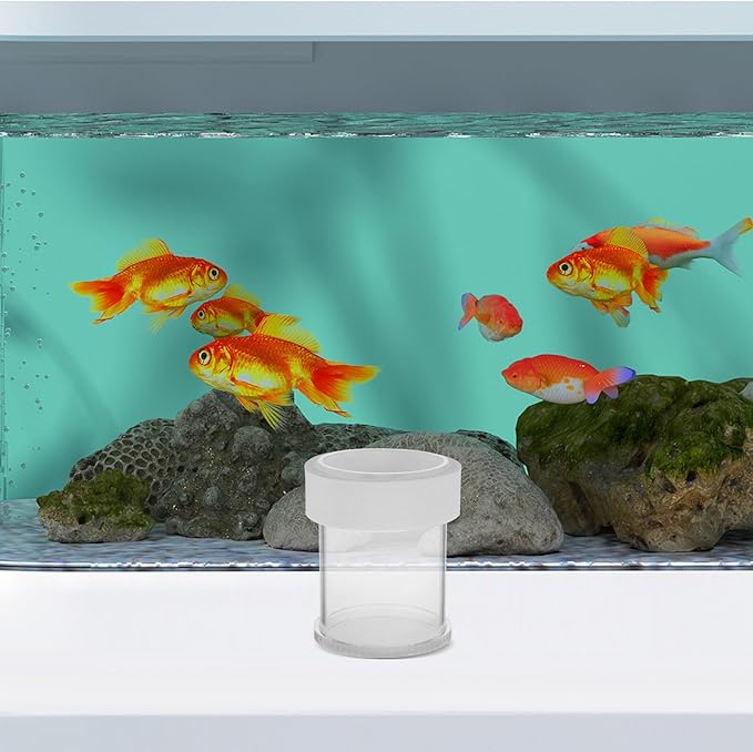 Angoily Aquarium Fish Feeder Floating Feeding Ring Semi-Automatic Shrimp Feeder White Large Fish Tank Accessory for Guppy