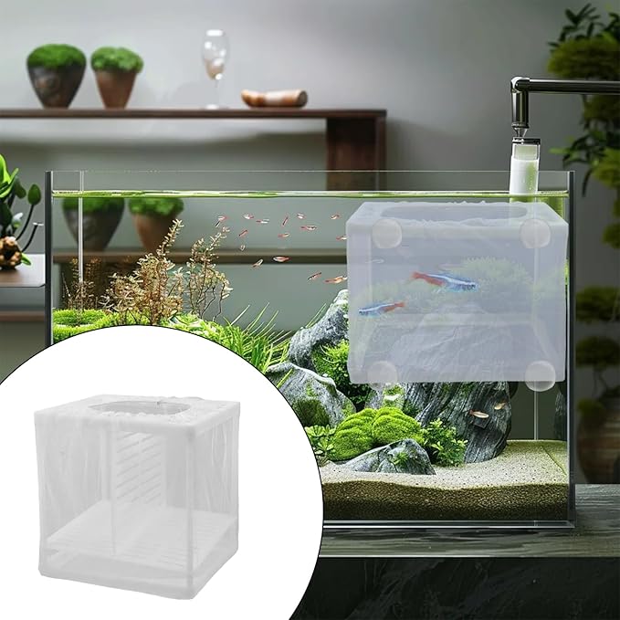 MY MIRONEY 2PCS 6.3" x 5.51" x 5.91" Fish Tank Breeder White Nylon Fish Incubator Mesh Box Aquarium Fish Fry Hatchery Breeder with Suction Cups (with Divider)