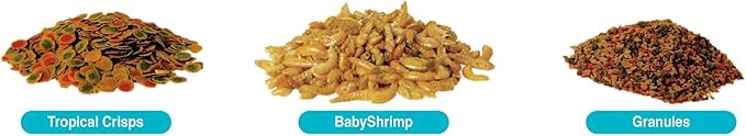 TetraMin Crisps Select-A-Food 2.4 Ounces, Fish Food, Variety Pack (77037)