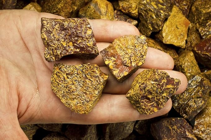 Fantasia Materials: 3 lbs Script Jasper Rough Stones from India