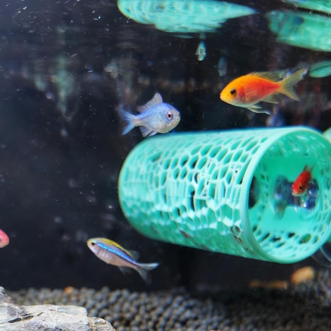 Plastic Aquarium Hideaway Cave with Flow-Through Design - Decorative Tunnel for Betta Fish, Guppies & Shrimp with Secure Suction Cup