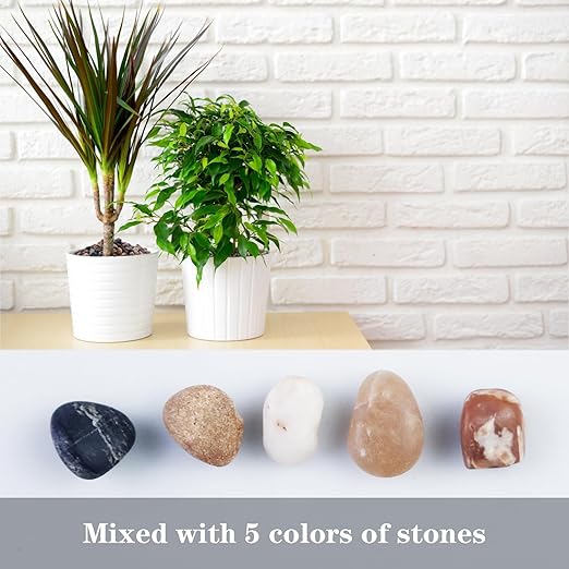 5lb Mixed Color Silica Gravel Pebbles, 1/5 inch Decorative Stones for Succulents, Pebbles for Vases,Plants Rocks, Aquarium Sand, Top Dressing, Outdoor Decorative Rocks
