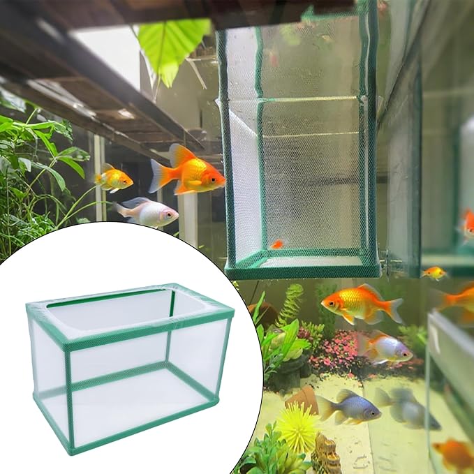 MY MIRONEY 2PCS 10.43" x 5.91" x 5.91" Fish Tank Breeder Green Nylon Fish Incubator Mesh Box Aquarium Fish Fry Hatchery Breeder with Suction Cups
