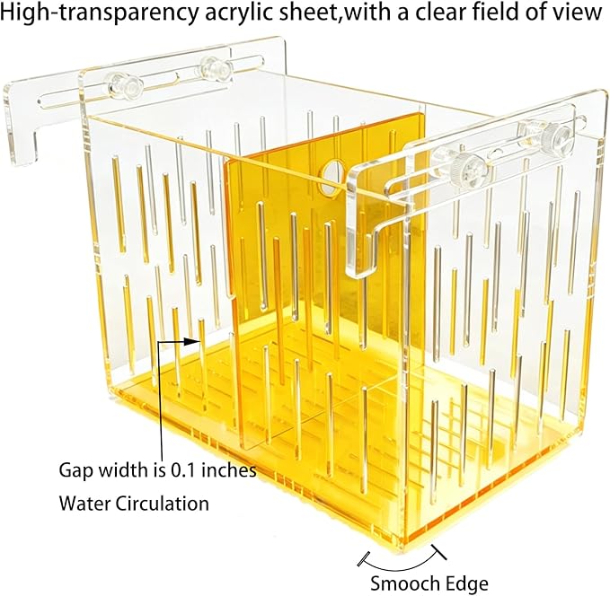 Large Acclimation Box for Saltwater Fish, Acrylic Hang on Back Breeder Box with Divider & Feeding Window, for Saltwater and Freshwater, 9.84 x 8.27 x 6.30 Inches