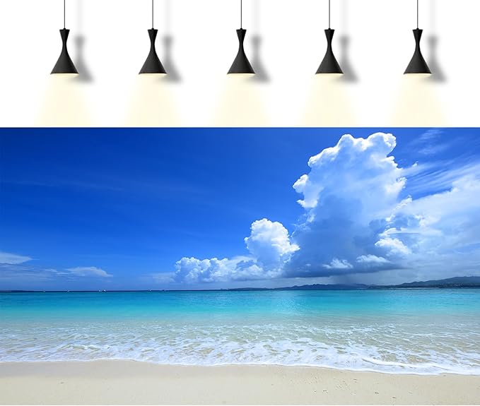 Tropical Beach Aquarium Background Ocean Sea Sandbeach Fish Tank Background Ocean Seascape Terrarium Backgrounds Sunny Blue Sky Clouds Seacoast Ocean Sea Waves Reptile Tank Backgrounds 24x16in
