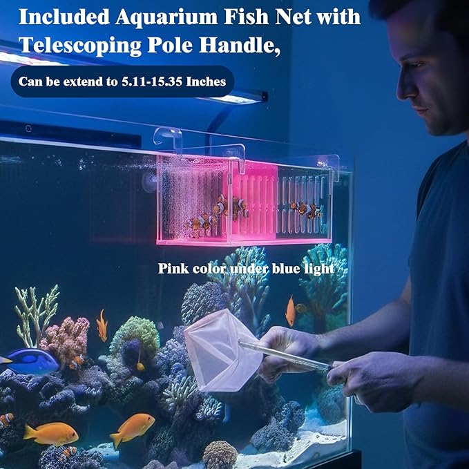 Fish Breeder Box for Aquarium, Acrylic Hatchery Incubator with Long Handle Net - Breeding & Isolation Box for Baby Fish, Shrimp, Betta Guppy, Tank Divider (Orange, 9x5.3x6.7 in)