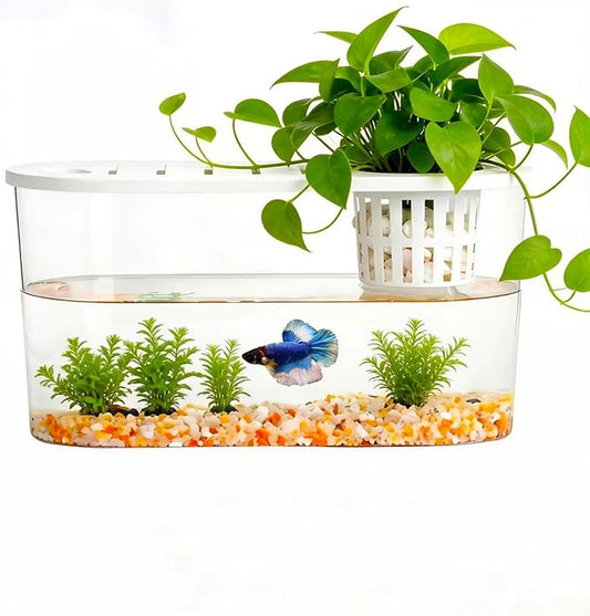 1.2 Gallon Betta Fish Tank, Desktop Aquarium with Lid & Plant Basket, Shatterproof Plastic Fish Bowl for Home Office Dorm Decor