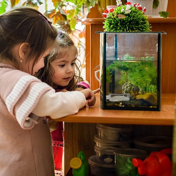 SUPERFINDINGS 4Pcs 2 Styles Transparent Glass Aquarium Shrimp Food Feeder Dish Fish Tank Feeding Bowls Dishes Flat Round Square Clear Feeding Bowl