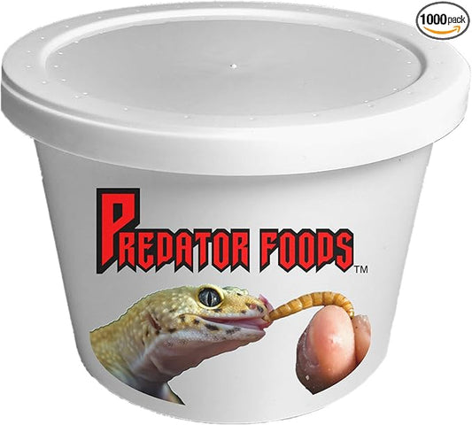 Predator Foods Bulk Live Mealworms - 1000 Count (Small - 0.25")